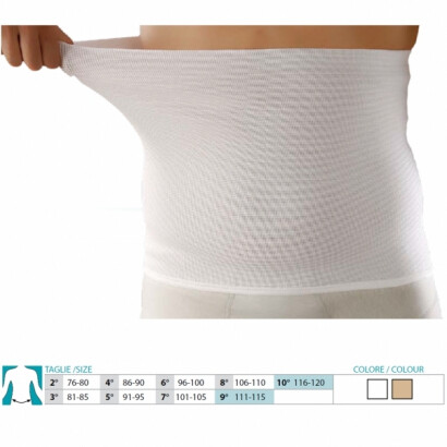 Fascia elastica